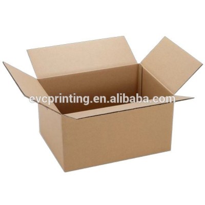 Carton Packaging Box